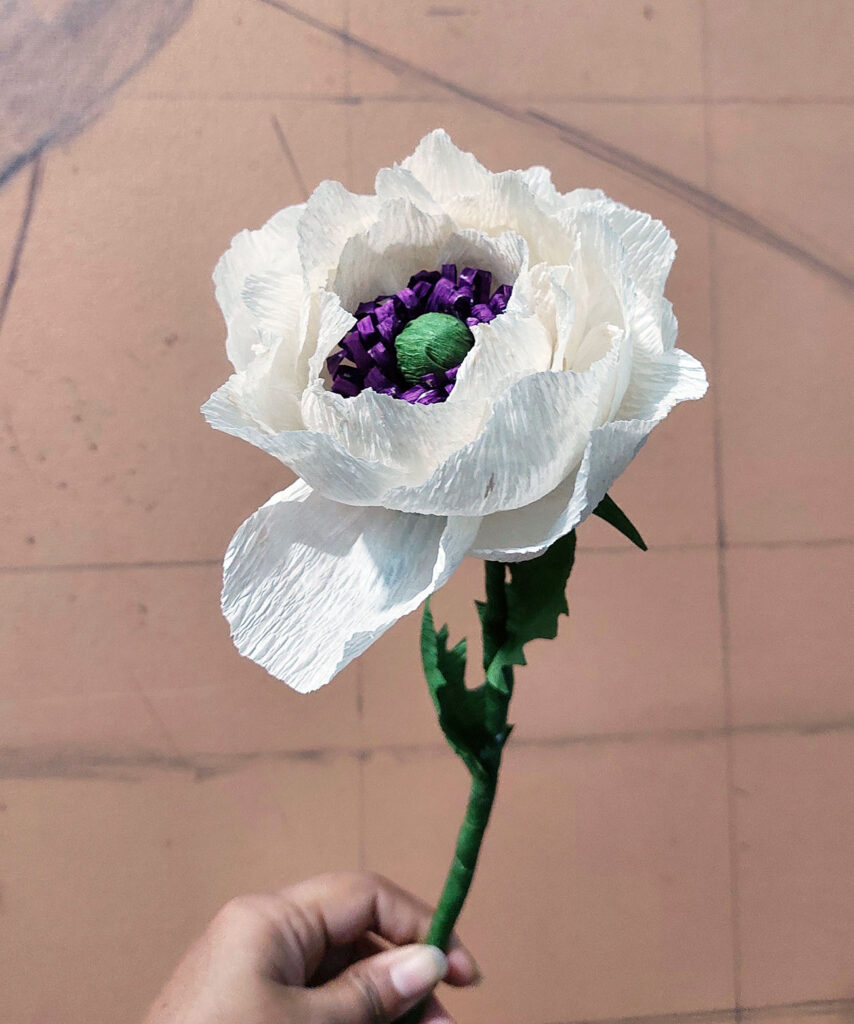 164 Peony 854x1024
