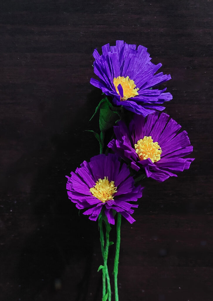 167 Asters 726x1024