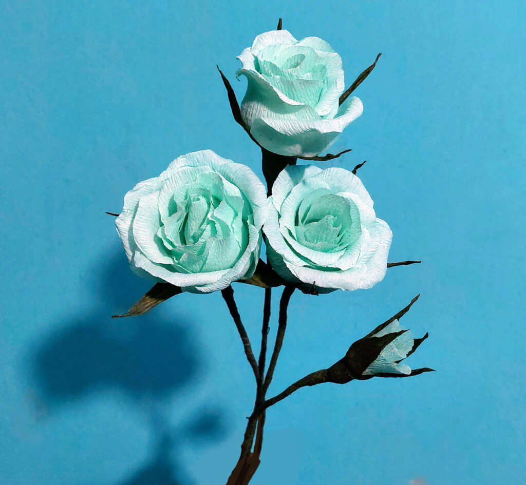 169 Tarquoiserose 1024x945