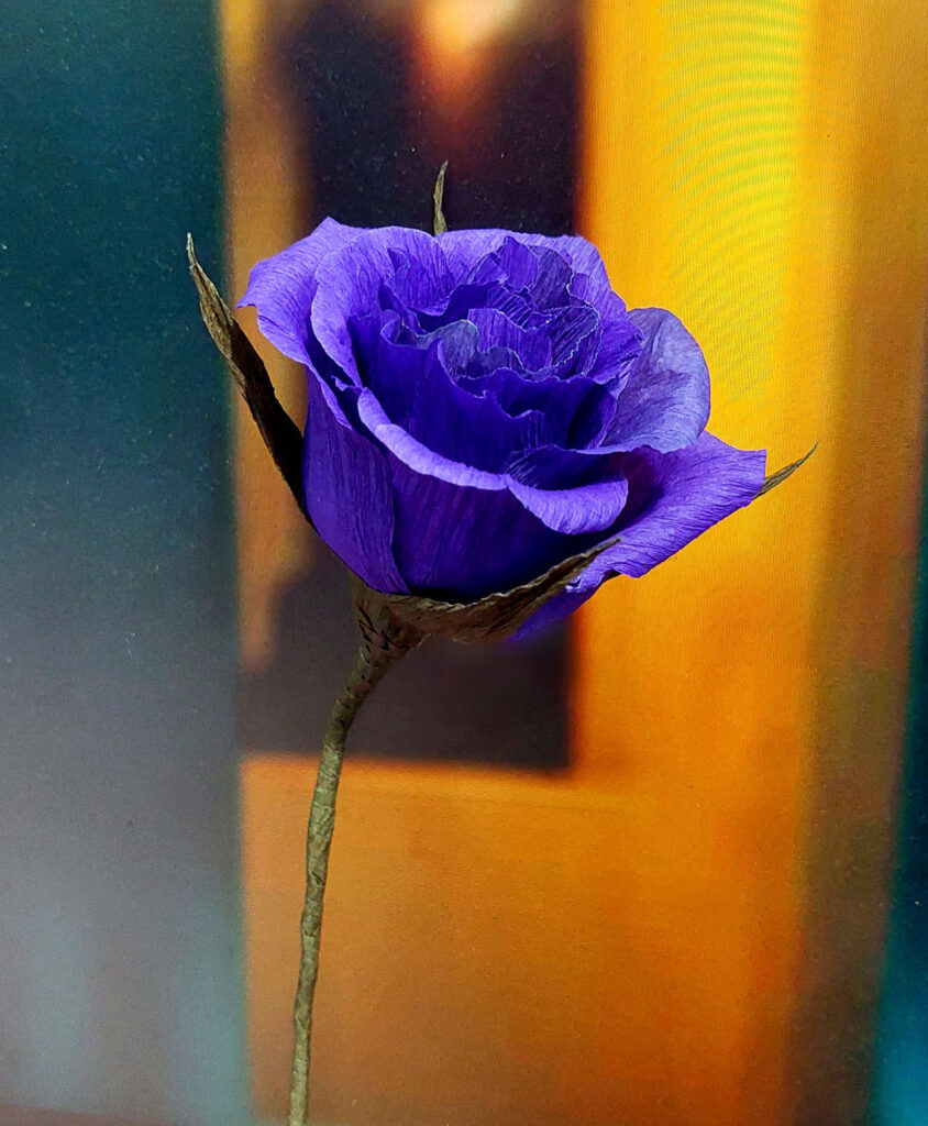 170 Violetrose 844x1024