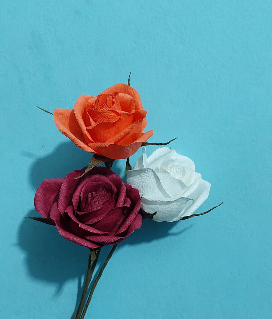 171 Whiteredorange Rose 873x1024