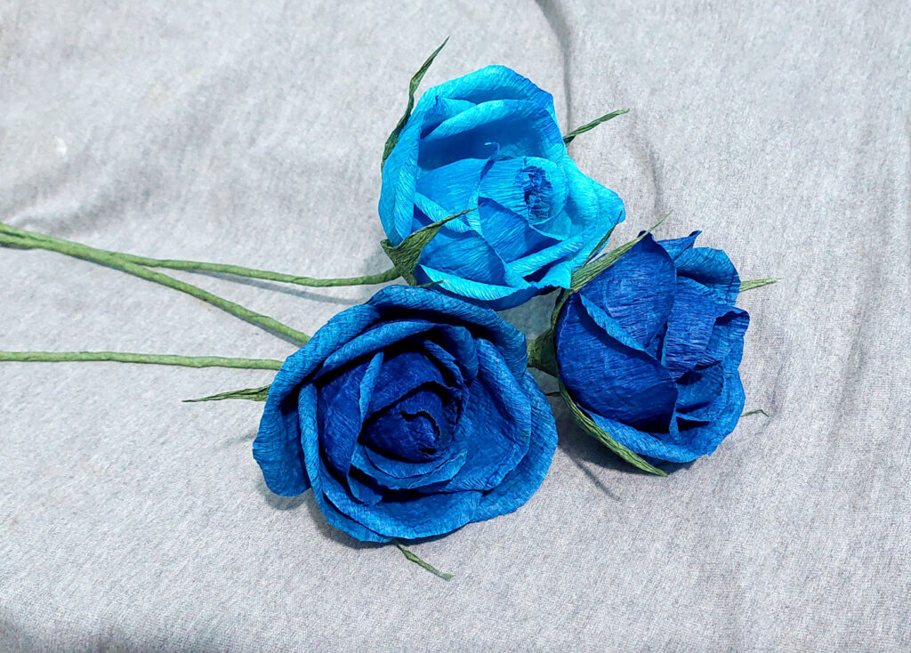 172 Bluerose 1024x734