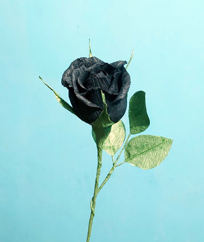173 Blackrose 863x1024