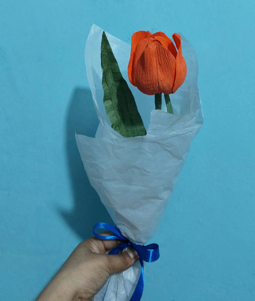 180 Tulip 867x1024