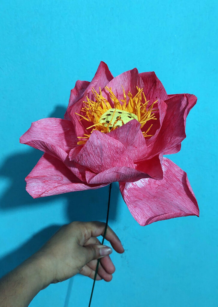 181 Lily 727x1024